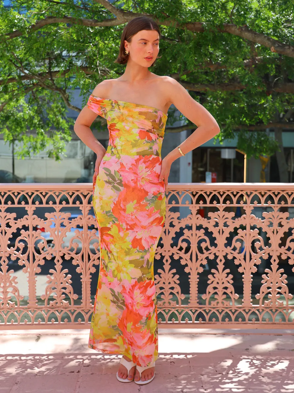 By Nicola Paloma Sleeveless Mesh Maxi Dress in Floral Confetti