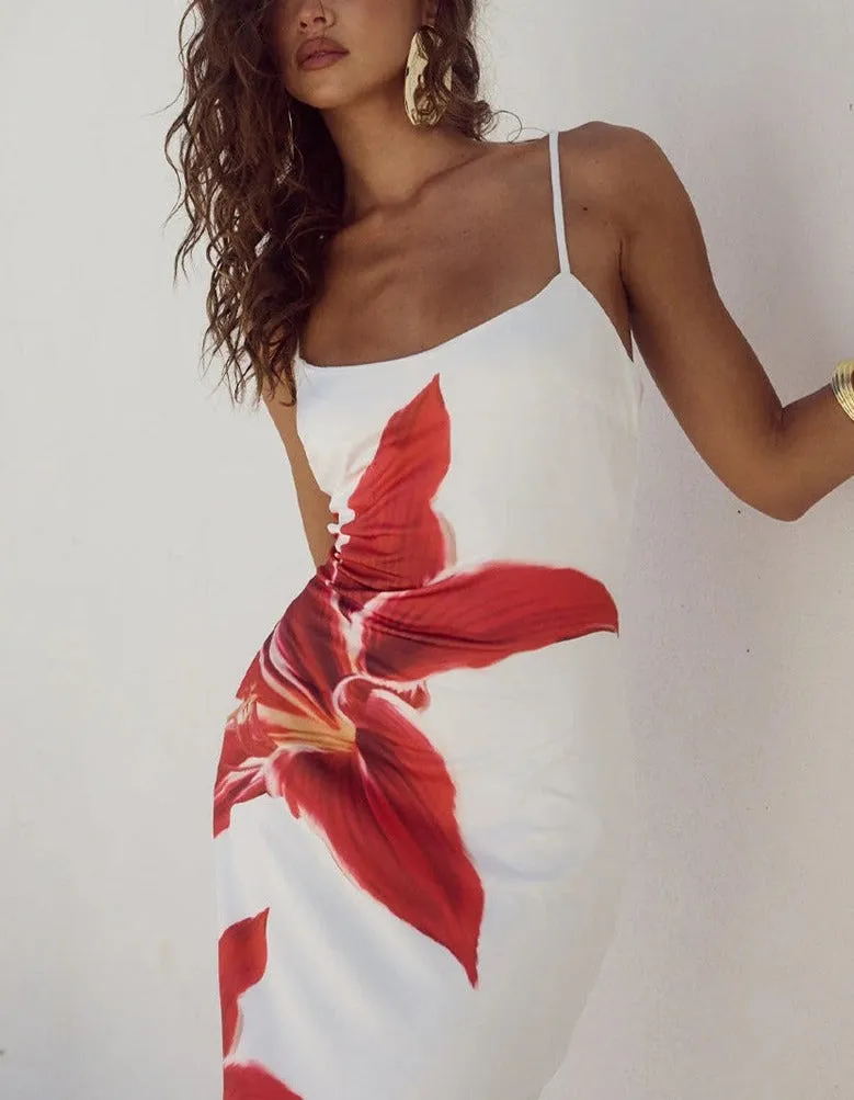 Vvsha Gracen Large Floral Maxi Dress